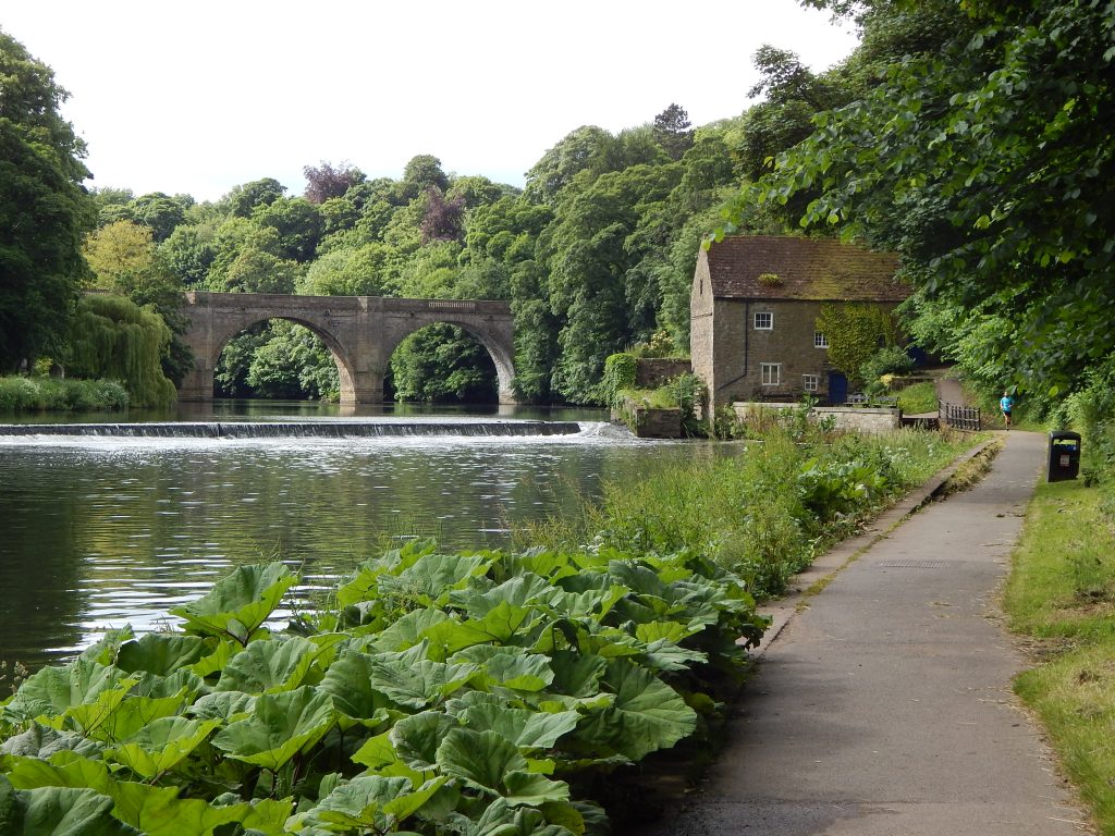 The River Wear below Durham Cathedral